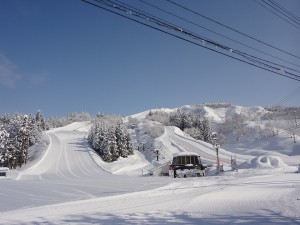 DSC01355