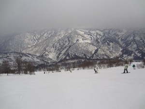 DSC01511