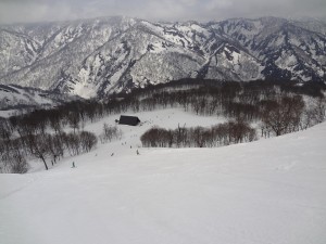 DSC01512