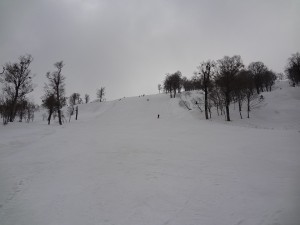 DSC01514