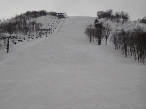 DSC01517