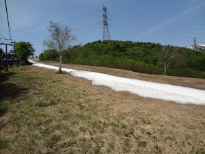 DSC01570