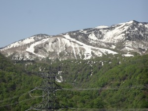 DSC01571