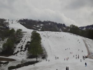 DSC01575