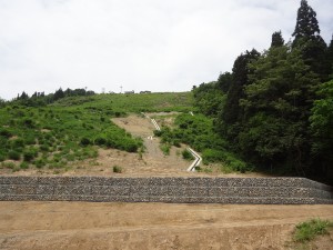 DSC01578