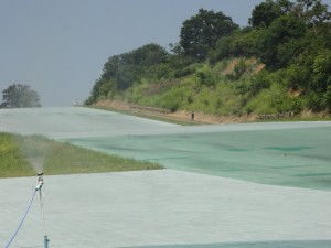 DSC01910