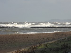 DSC02052