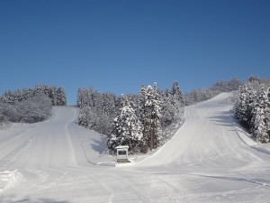 DSC02097