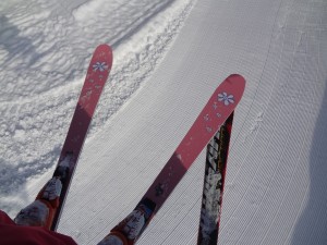 DSC02101