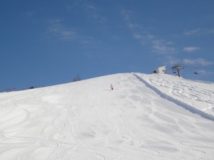 DSC02106