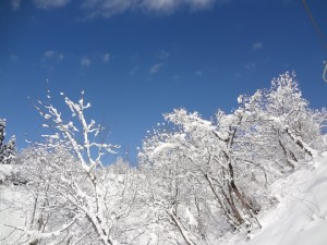 DSC02108