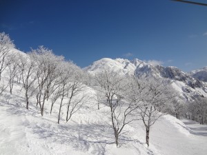 DSC02423