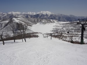 DSC02482