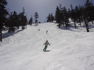 DSC02483