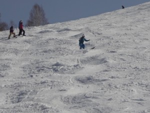 DSC02501